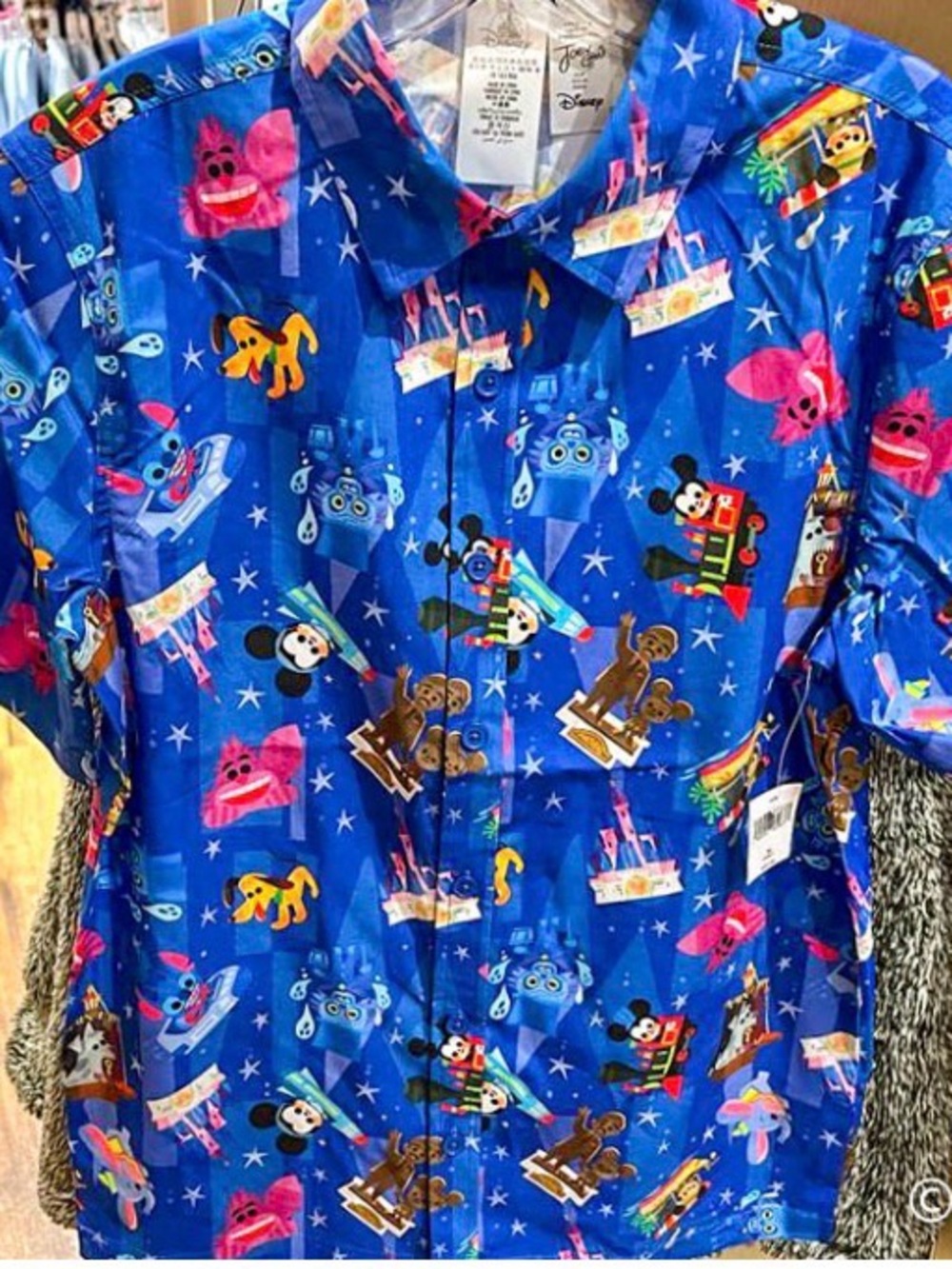 Disney spring bottom up 2023